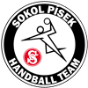 Sokol Písek