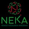 NEKA Nemzeti akadémia