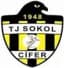 TSC