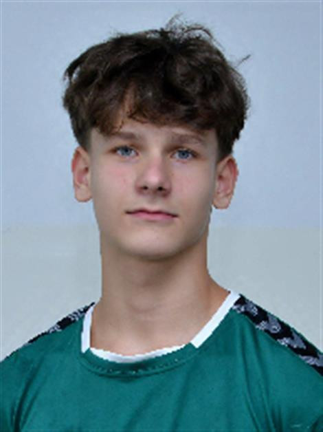 Denis HAVIAR